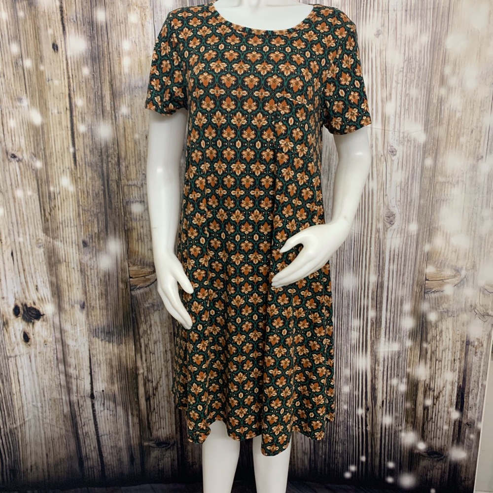 ❤️Dress by LulaRoe size M